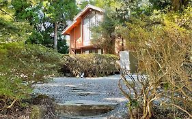 Forest Aso Otohime
